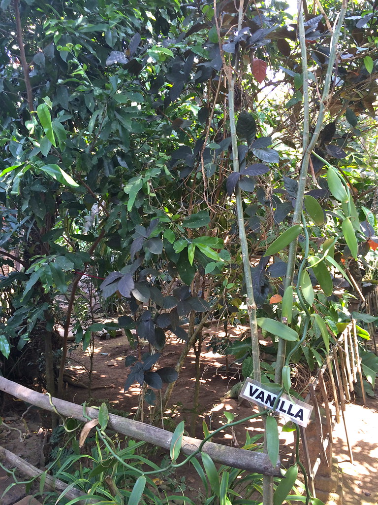 Negari Agro Wisata Coffee Garden