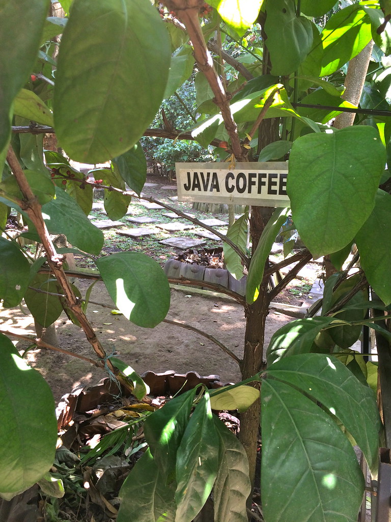 Negari Agro Wisata Coffee Garden