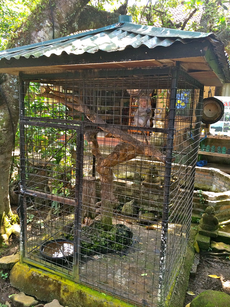 Negari Agro Wisata Coffee Garden